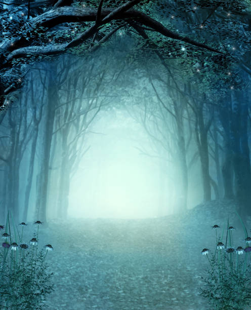 매혹적인 푸른 안개 숲의 산책로 - fairy tale 뉴스 사진 이미지