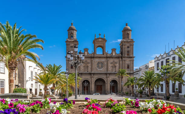 landschap met kathedraal santa ana vegueta - gran canaria stockfoto's en -beelden