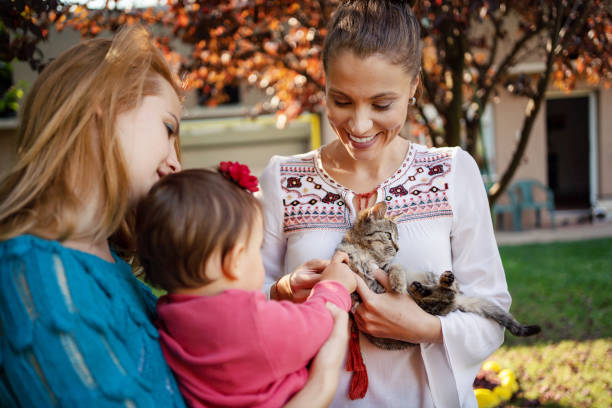 istock Family with cat at back yard 1183620444