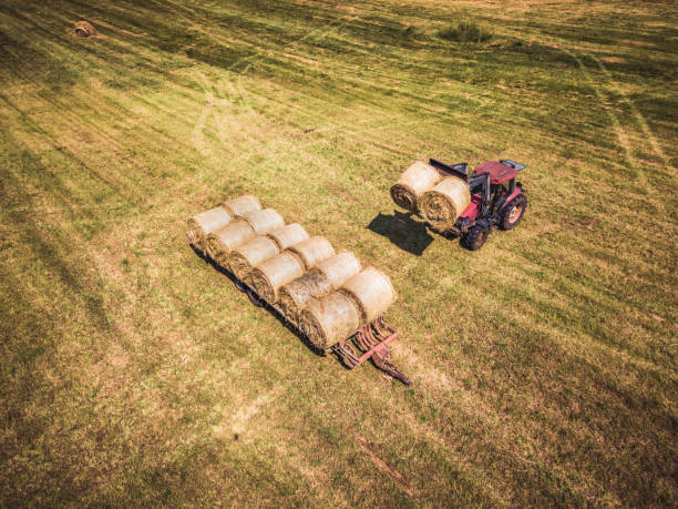 istock Farmer picking up hay rolls with tractor to put them on trailer 1183623465