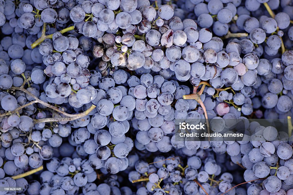 Weinlese. Hintergrund. Farbe - Lizenzfrei Beere - Obst Stock-Foto