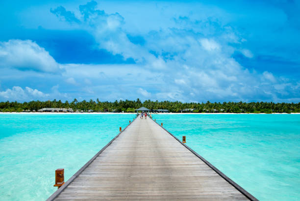 istock tropical Maldives island with beach , sea , blue sky 1183632025