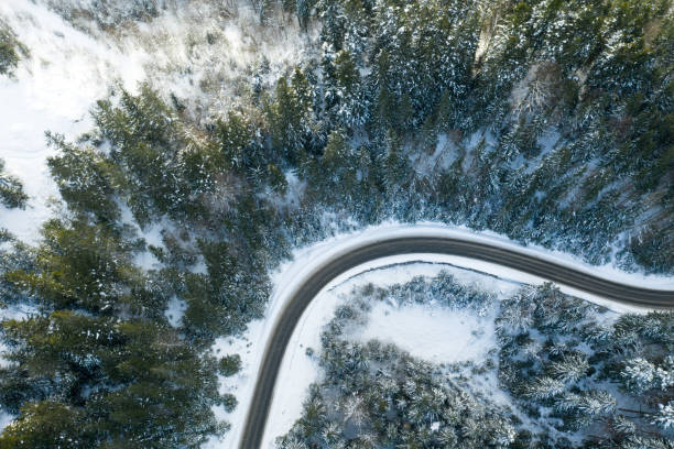 istock beautiful winter forest and the road 1183632081