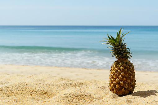 Pineapple fruit on the beach at sunny day