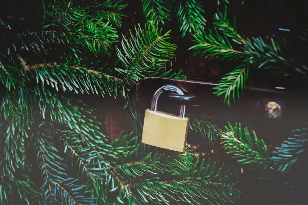 Photo of Padlock on the background  branches Christmas decoration.