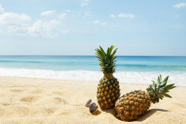 istock Pineapple fruits and sunglasses 1183636394