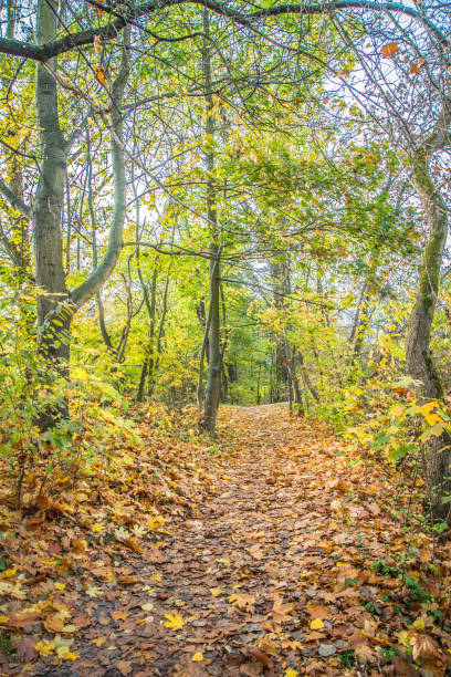 istock Park in the autumn 1183638056