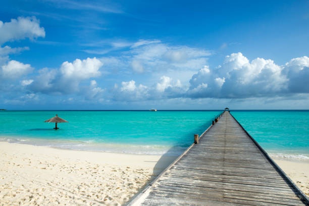 istock tropical Maldives island with white sandy beach and sea 1183643368