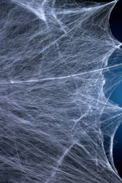 istock stretched white web with blue backlight, background for the holiday Halloween 1183643435