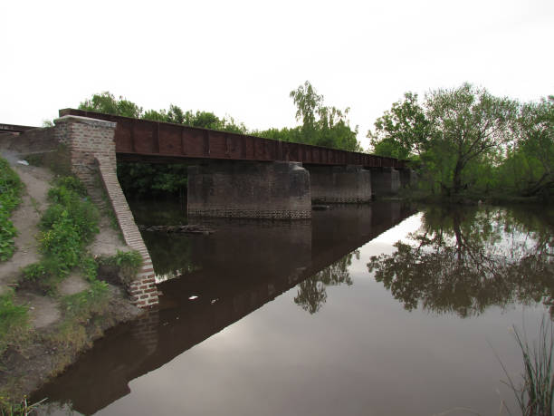istock Late afternoon by a calm water river. 1183650064