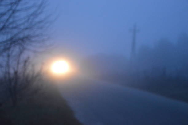 istock Morning fog after a night in forest 1183653932
