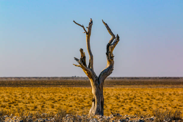 Amazing landscape of Namibia, mountain, desert, salty lake ...