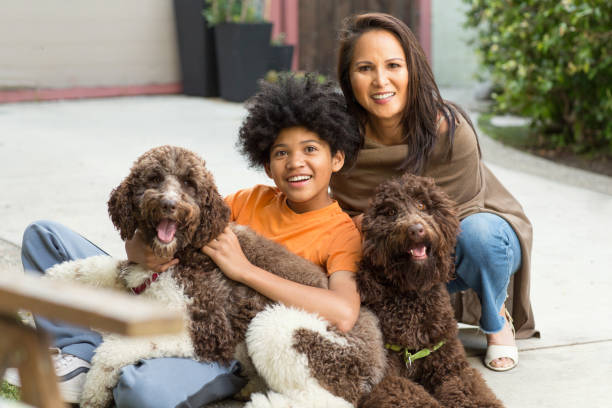 어머니와 그녀의 아들은 웃고 자신의 개와 함께 놀고있다. - dog leash pets playing 뉴스 사진 이미지