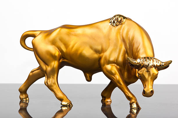 istock golden parget bull 118365848