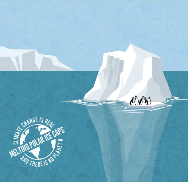 Stranded penguins on iceberg. Melting polar Ice caps and rising sea levels. Signs of Climate change. Stranded penguins on iceberg. Melting polar Ice caps and rising sea levels. Climate change global warming series with warning stamp. Vector illustration. stranded stock illustrations