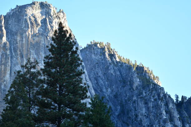 istock Large Trees with Granite Cliffs in Early Morning Light Blue Tone 1183673653