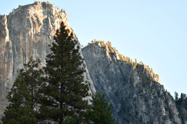 istock Large Trees with Granite Cliffs in Early Morning Light 1183673666
