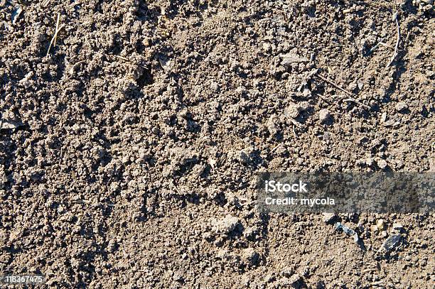 Húmusacaba Por Se Plano - Fotografias de stock e mais imagens de Amontoar - Amontoar, Botânica - Ciência de plantas, Campo agrícola