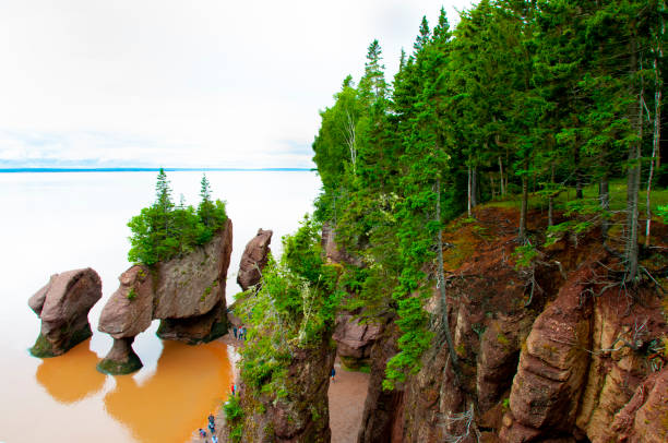 istock Hopewell Rocks 1183680429