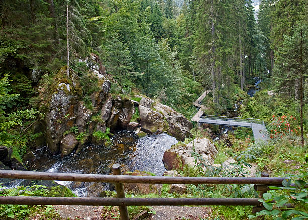 약 triberg 라운드 시간 - black forest waterfall triberg landscape 뉴스 사진 이미지