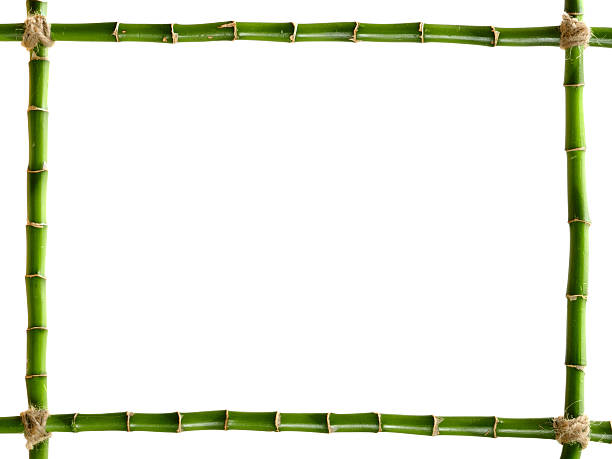 istock Green bamboo frame tied with twine 118368690