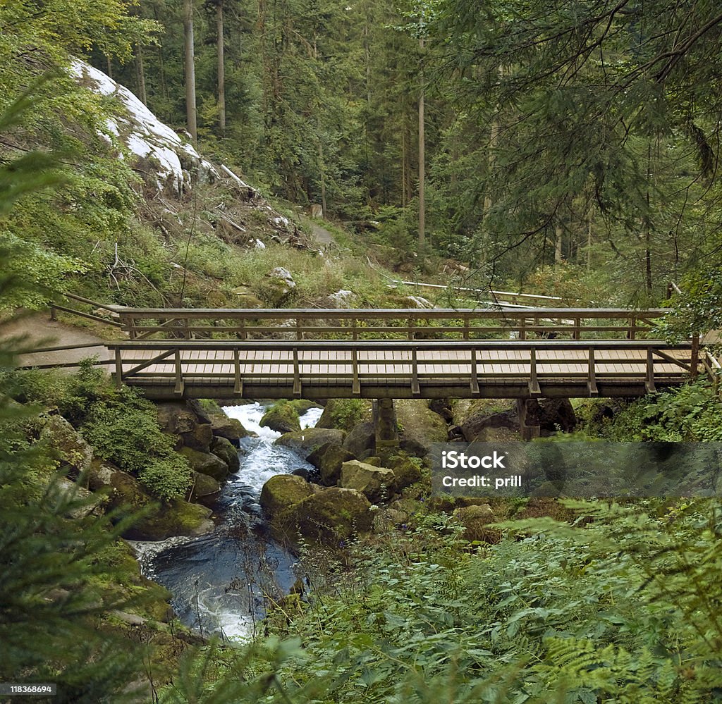 Puente de madera en Triberg cascadas - Foto de stock de Agua libre de derechos