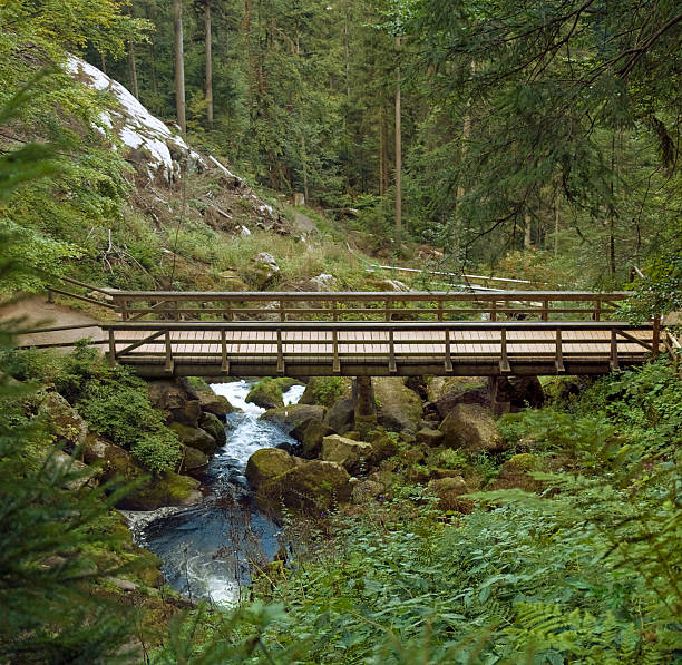 drewniany most na triberg wodospady - black forest waterfall triberg landscape zdjęcia i obrazy z banku zdjęć