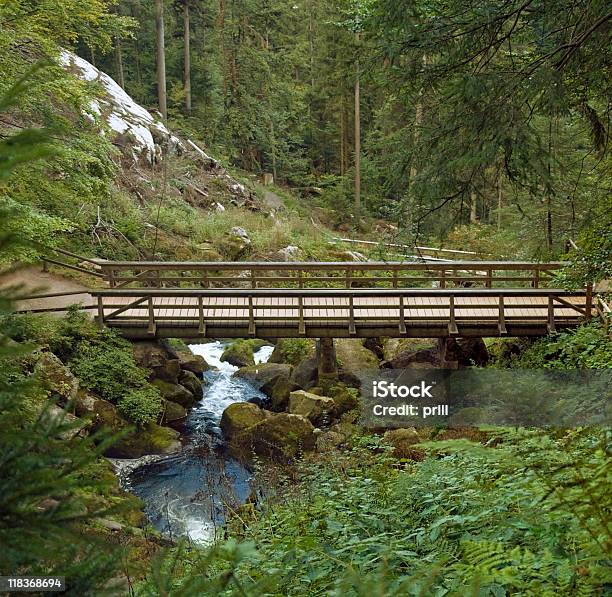 Drewniany Most Na Triberg Wodospady - zdjęcia stockowe i więcej obrazów Badenia-Wirtembergia - Badenia-Wirtembergia, Bez ludzi, Dolina