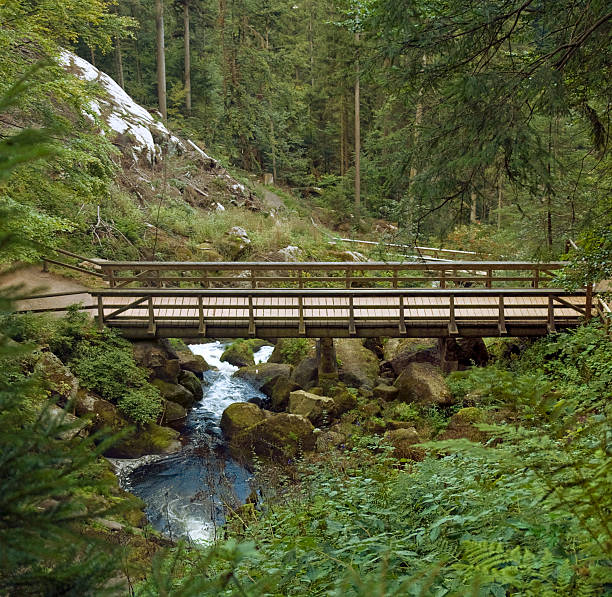 ponte de madeira em torno de triberg cachoeiras - black forest waterfall triberg landscape - fotografias e filmes do acervo