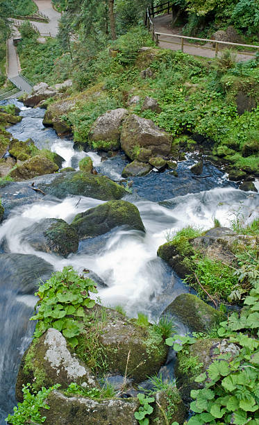 triberg cachoeiras detalhe - black forest waterfall triberg landscape - fotografias e filmes do acervo