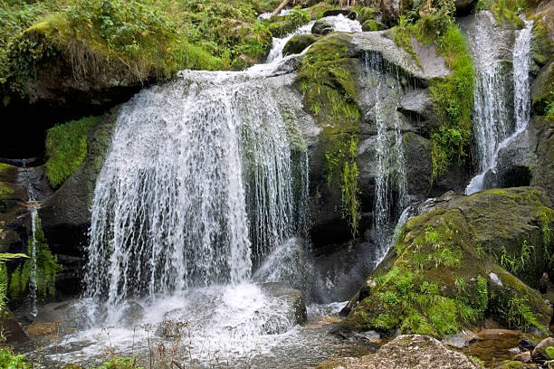 istock pictorial Triberg Waterfalls 118368706