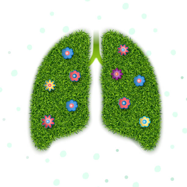 здоровый символ легких - human lung healthy lifestyle healthcare and medicine green stock illustrations