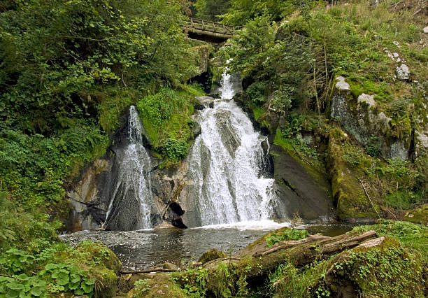 triberg cachoeiras na floresta negra - black forest waterfall triberg landscape - fotografias e filmes do acervo