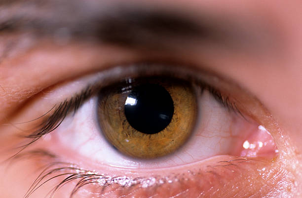 istock Human eye, extreme close-up 118368780