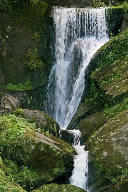 triberg wodospady z przerośnięty kamieni - black forest waterfall triberg landscape zdjęcia i obrazy z banku zdjęć