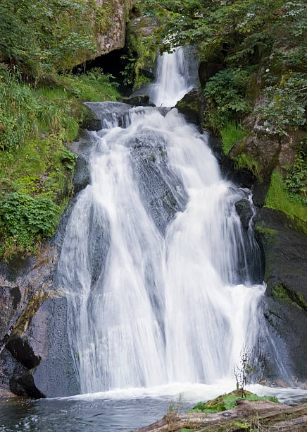 triberg cascatas no verão - black forest waterfall triberg landscape - fotografias e filmes do acervo