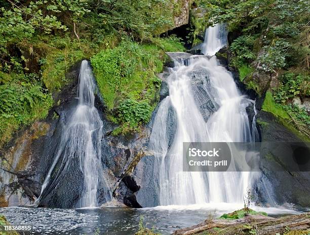 Triberg Waterfalls At Summer Time Stock Photo - Download Image Now - Baden-Württemberg, Black Forest - Germany, Bush