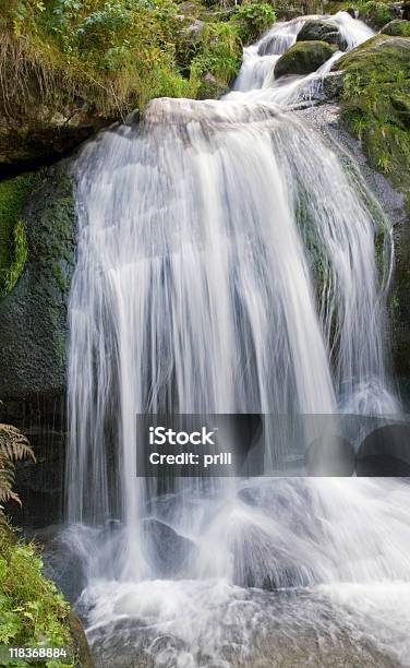 Photo libre de droit de Cascade Du Triberg Cascades banque d'images et plus d'images libres de droit de Arbre - Arbre, Bade-Wurtemberg, Buée