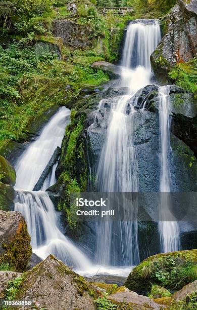 Triberg で夏の滝 - カラー画像のストックフォトや画像を多数ご用意 - カラー画像, シュバルツバルト, トリベルク