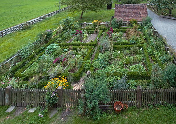 traditional cottage garden high angle view of a traditional cottage garden in the Black Forest (Southern Germany) at summer time knot garden stock pictures, royalty-free photos & images