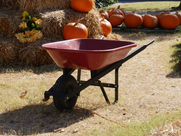 istock Pumpkins at a farmer's market 1183702911