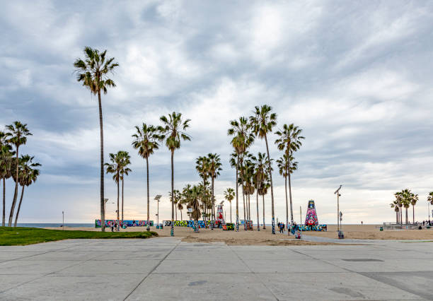 Venice Beach, USA - March 5, 2019: scenic beach at Venice Beach with palm trees.