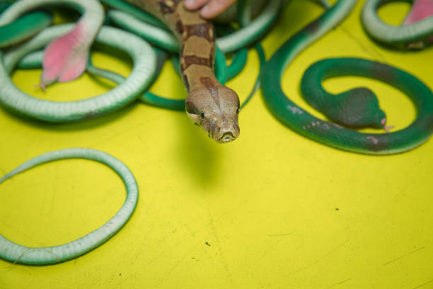 istock Green feather snakes. A snake with a gray spit . artificial and real snakes on a yellow background . 1183706541