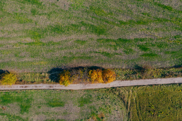 istock agriculture land drone view 1183708137