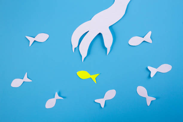istock Cat's paw trying to catch fish 1183709015