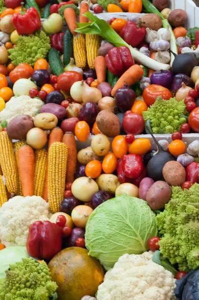 Photo of Assortment of fresh vegetables close up.