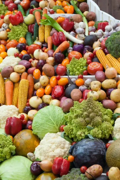 Photo of Assortment of fresh vegetables close up.