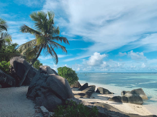 istock Scenic View Of Sea Against Sky 1183713433