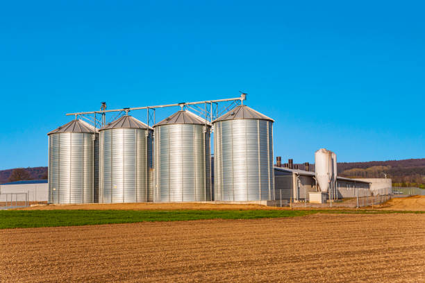 istock silo in beautiful landscape in sun 1183716184