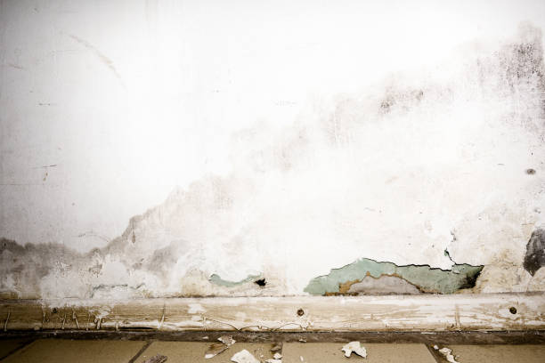 inundando a água da chuva ou sistemas de aquecimento do assoalho, causando dano, descascando a pintura e o mildew. - plasterboard ceiling plaster molding - fotografias e filmes do acervo